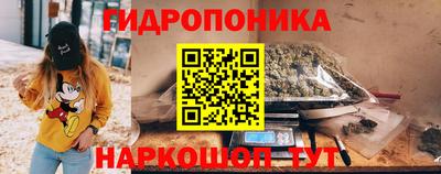 альфа пвп Новодвинск