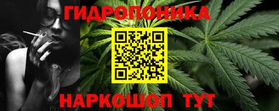 альфа пвп Новодвинск