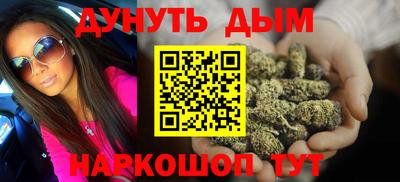 альфа пвп Новодвинск