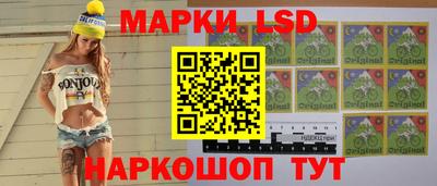 альфа пвп Новодвинск