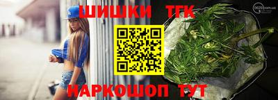 альфа пвп Новодвинск