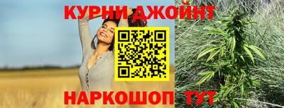 альфа пвп Новодвинск