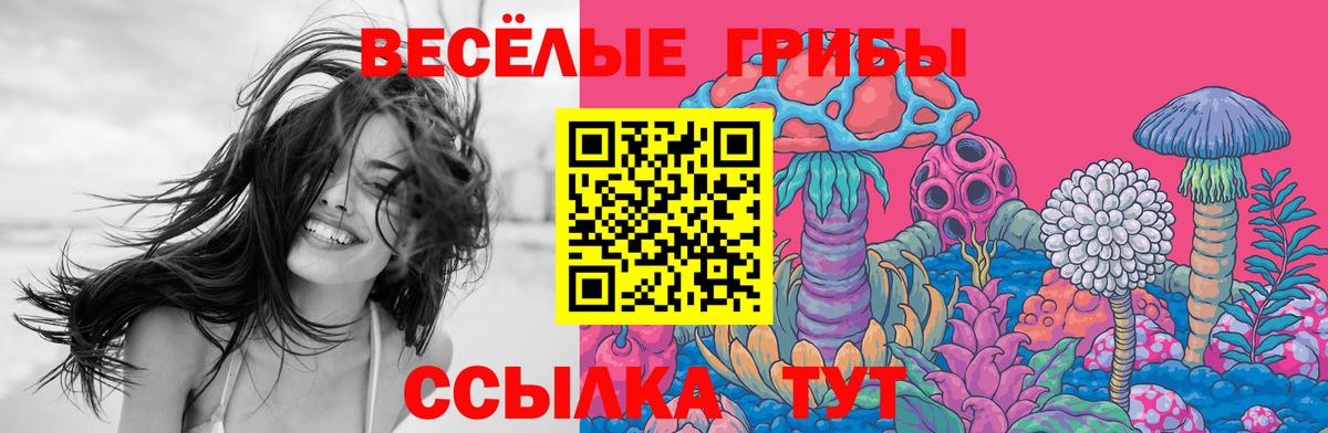 Туймазы  Псилоцибиновые грибы Cubensis  Вход с VPN 